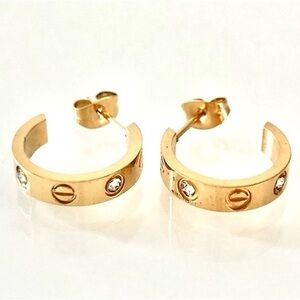 Small Screw Zirconia Hoops Earrings